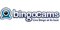 bingo-cams-logo